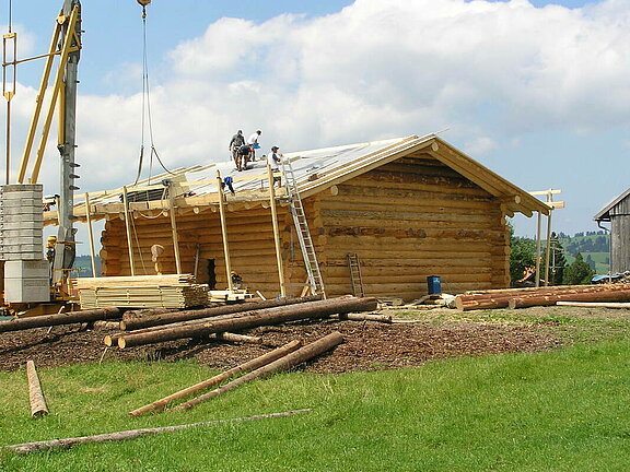 Blockhausbau aus Naturstämmen