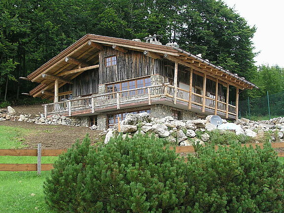 Dachaufbau mit Naturstämmen