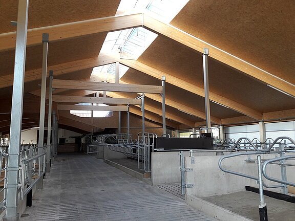 Stallung mit Holzdach